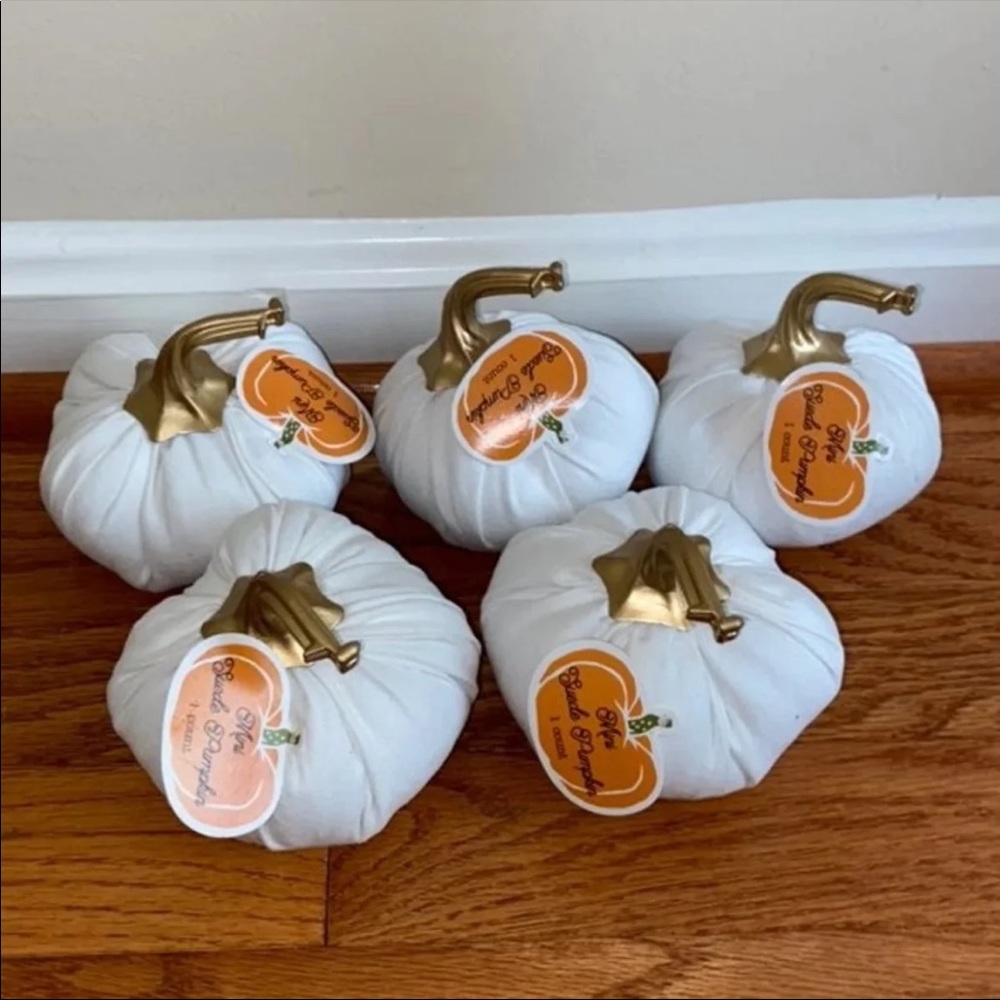 5 White Pumpkins lot Fall